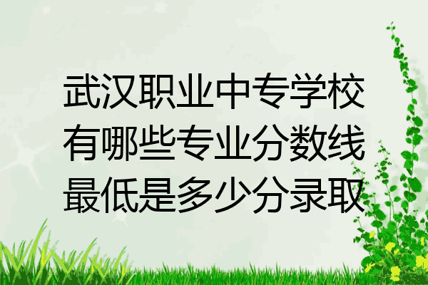 武汉职业中专学校有哪些专业分数线最低是多少分录取