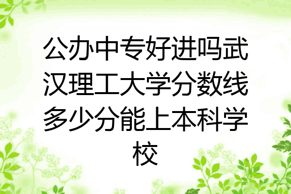 公办中专好进吗武汉理工大学分数线多少分能上本科学校