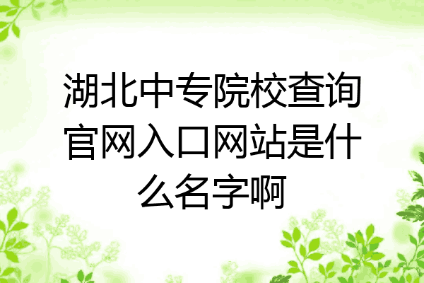 湖北中专院校查询官网入口网站是什么名字啊