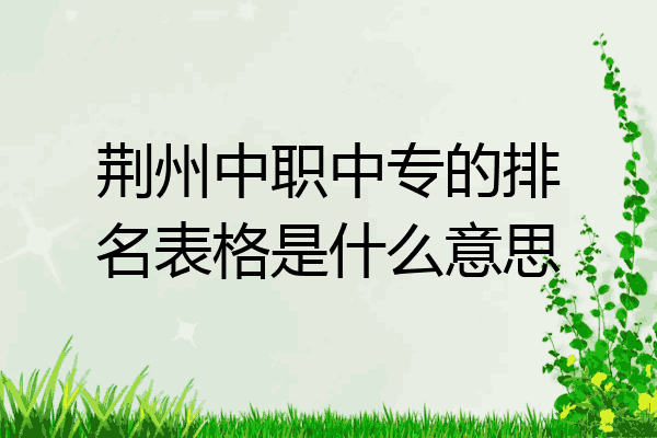 荆州中职中专的排名表格是什么意思