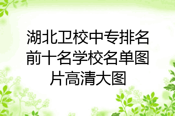 湖北卫校中专排名前十名学校名单图片高清大图