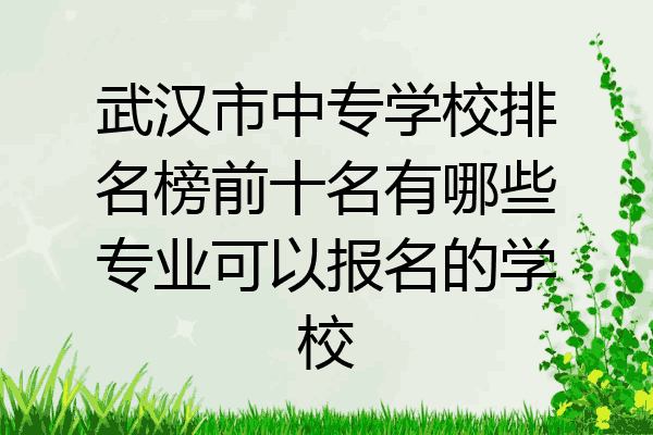 武汉市中专学校排名榜前十名有哪些专业可以报名的学校