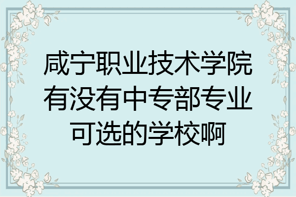 咸宁职业技术学院有没有中专部专业可选的学校啊