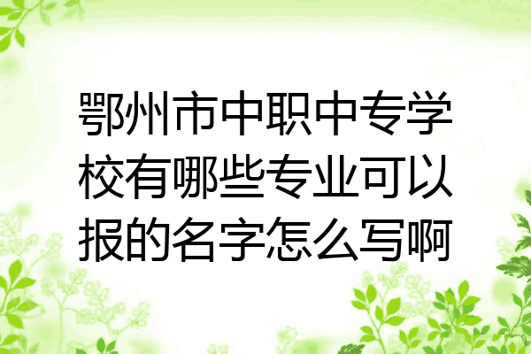 鄂州市中职中专学校有哪些专业可以报的名字怎么写啊