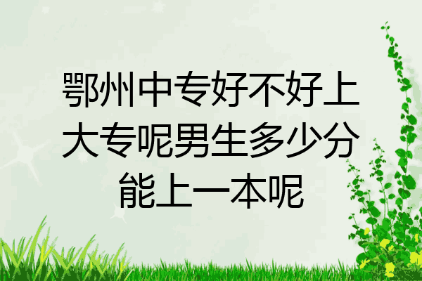 鄂州中专好不好上大专呢男生多少分能上一本呢