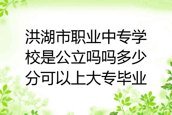 洪湖市职业中专学校是公立吗吗多少分可以上大专毕业