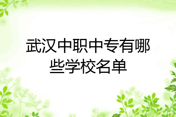 武汉中职中专有哪些学校名单