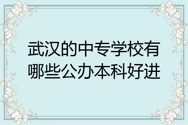 武汉的中专学校有哪些公办本科好进