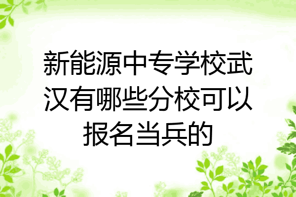 新能源中专学校武汉有哪些分校可以报名当兵的