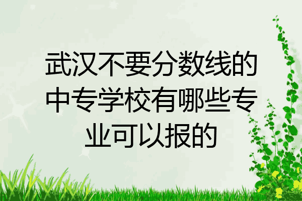 武汉不要分数线的中专学校有哪些专业可以报的