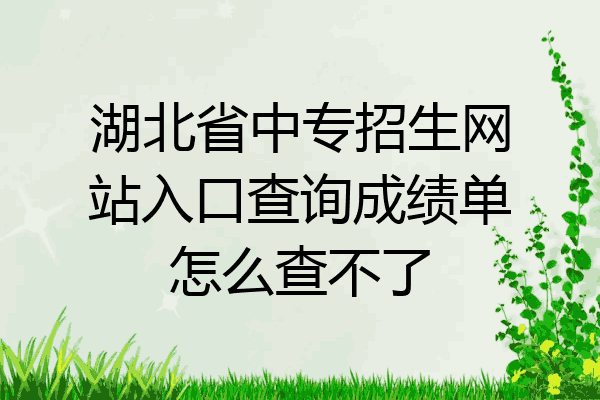 湖北省中专招生网站入口查询成绩单怎么查不了