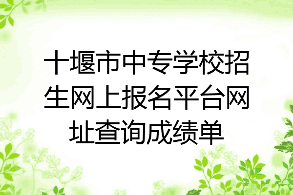 十堰市中专学校招生网上报名平台网址查询成绩单