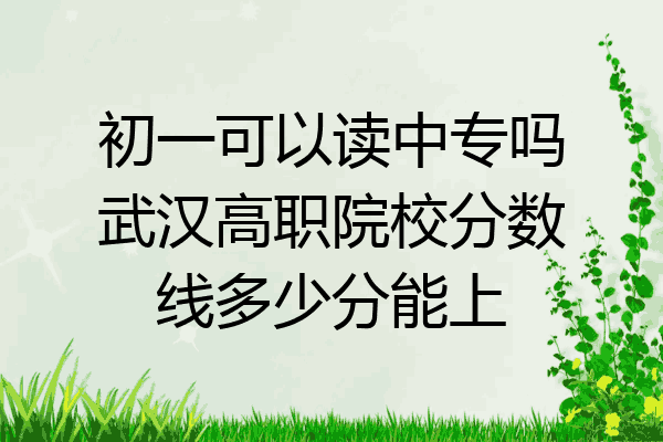 初一可以读中专吗武汉高职院校分数线多少分能上