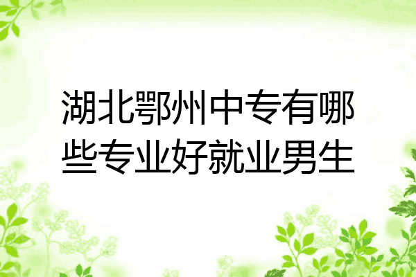 湖北鄂州中专有哪些专业好就业男生