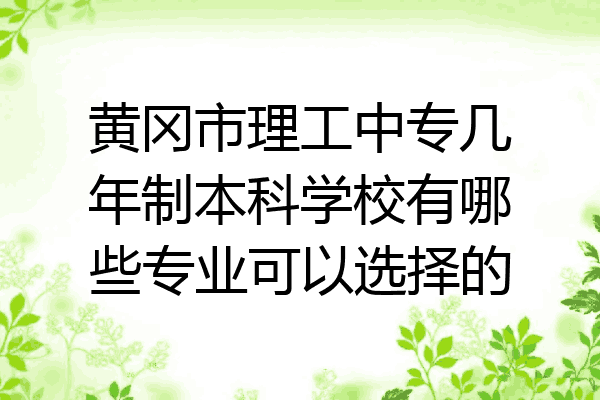 黄冈市理工中专几年制本科学校有哪些专业可以选择的