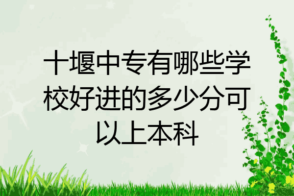 十堰中专有哪些学校好进的多少分可以上本科