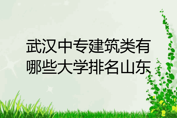 武汉中专建筑类有哪些大学排名山东
