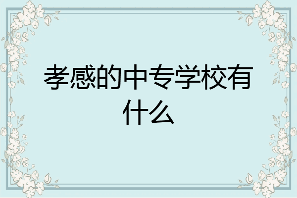 孝感的中专学校有什么
