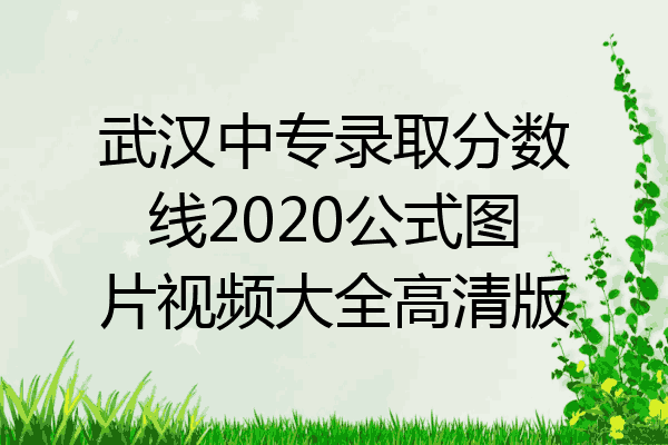 武汉中专录取分数线2020公式图片视频大全高清版