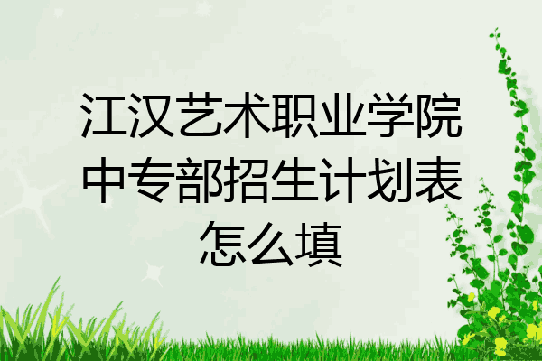 江汉艺术职业学院中专部招生计划表怎么填