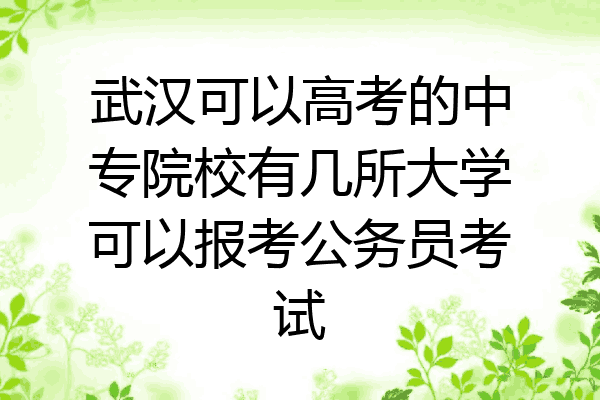 武汉可以高考的中专院校有几所大学可以报考公务员考试