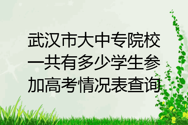 武汉市大中专院校一共有多少学生参加高考情况表查询