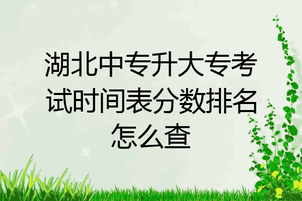 湖北中专升大专考试时间表分数排名怎么查