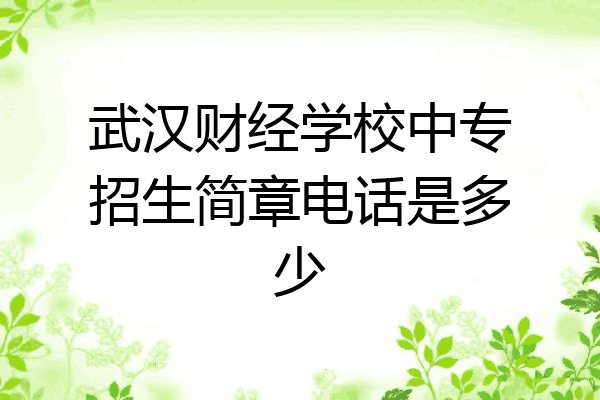 武汉财经学校中专招生简章电话是多少