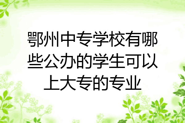 鄂州中专学校有哪些公办的学生可以上大专的专业