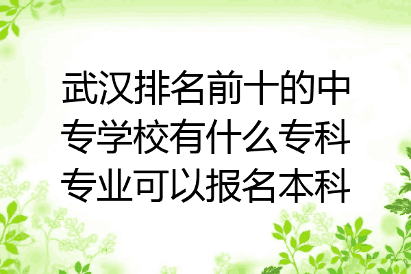武汉排名前十的中专学校有什么专科专业可以报名本科