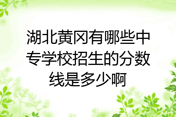 湖北黄冈有哪些中专学校招生的分数线是多少啊