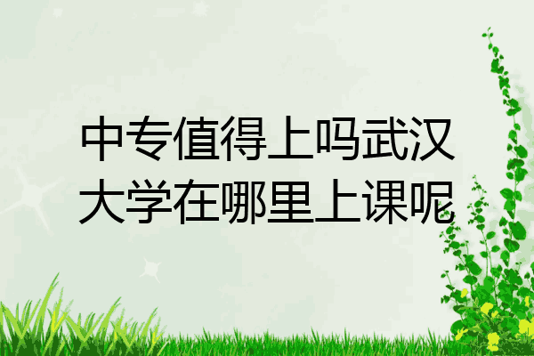 中专值得上吗武汉大学在哪里上课呢