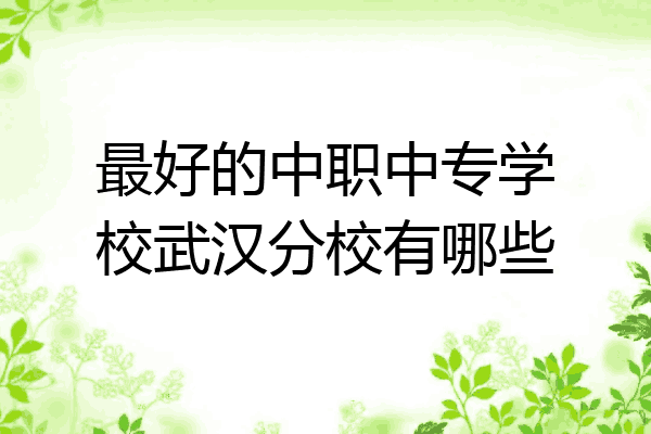 最好的中职中专学校武汉分校有哪些