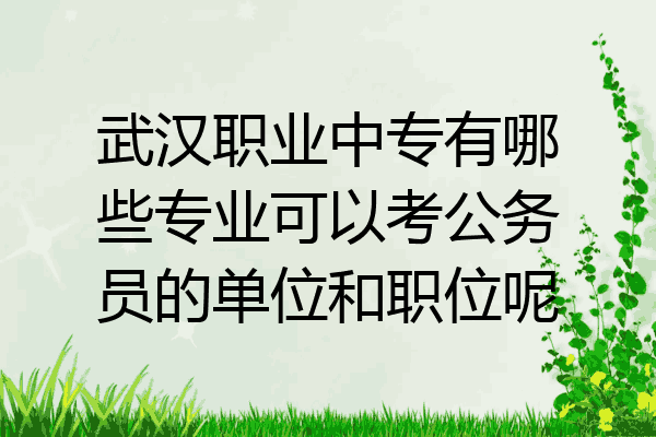 武汉职业中专有哪些专业可以考公务员的单位和职位呢