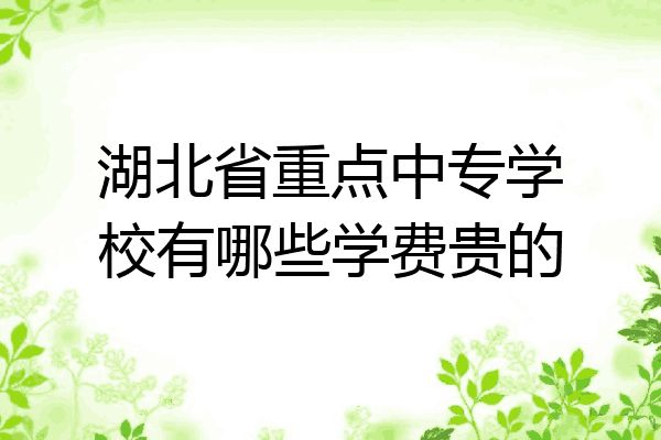 湖北省重点中专学校有哪些学费贵的