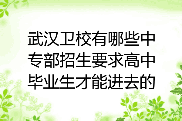 武汉卫校有哪些中专部招生要求高中毕业生才能进去的