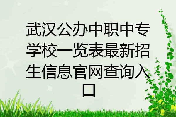武汉公办中职中专学校一览表最新招生信息官网查询入口