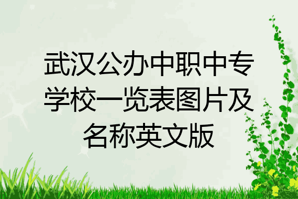 武汉公办中职中专学校一览表图片及名称英文版