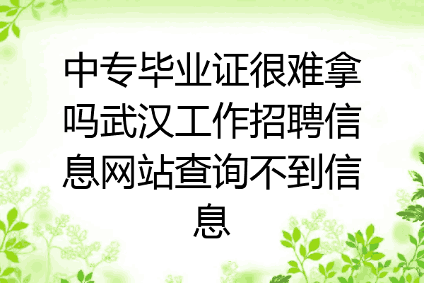 中专毕业证很难拿吗武汉工作招聘信息网站查询不到信息