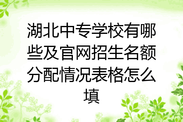 湖北中专学校有哪些及官网招生名额分配情况表格怎么填