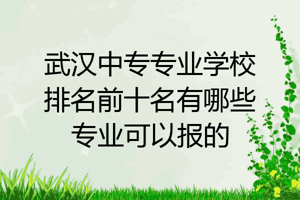 武汉中专专业学校排名前十名有哪些专业可以报的