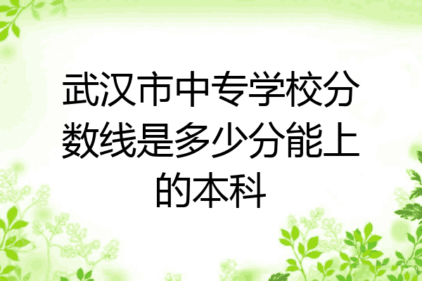 武汉市中专学校分数线是多少分能上的本科