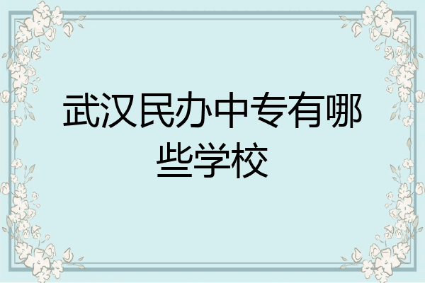 武汉民办中专有哪些学校