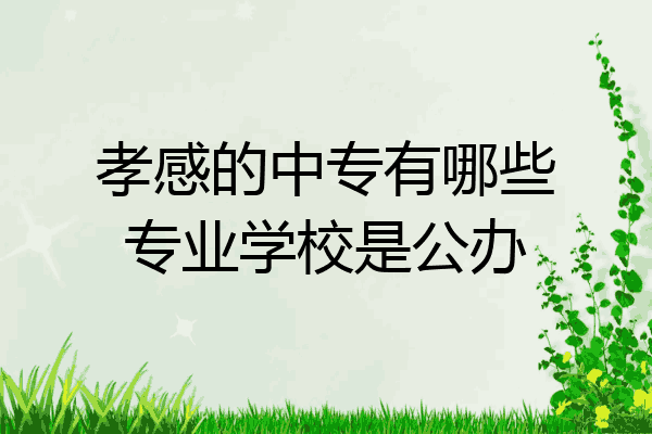 孝感的中专有哪些专业学校是公办