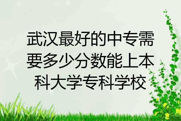 武汉最好的中专需要多少分数能上本科大学专科学校