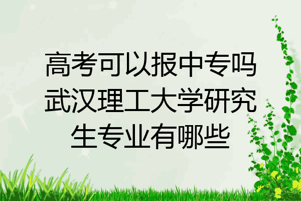 高考可以报中专吗武汉理工大学研究生专业有哪些
