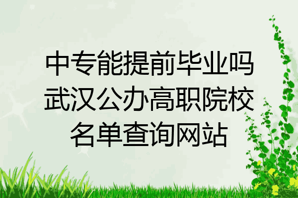 中专能提前毕业吗武汉公办高职院校名单查询网站