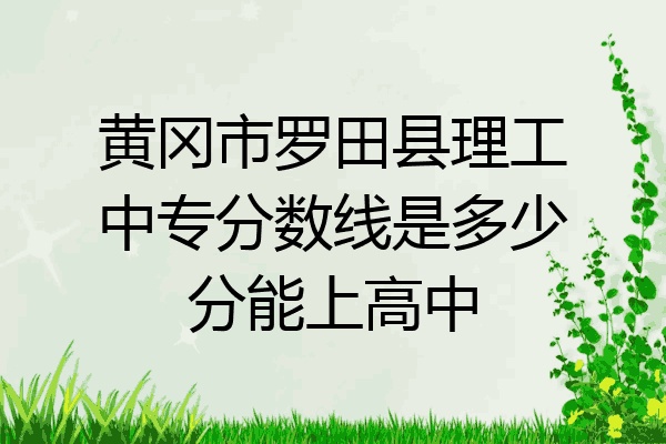 黄冈市罗田县理工中专分数线是多少分能上高中