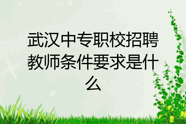 武汉中专职校招聘教师条件要求是什么