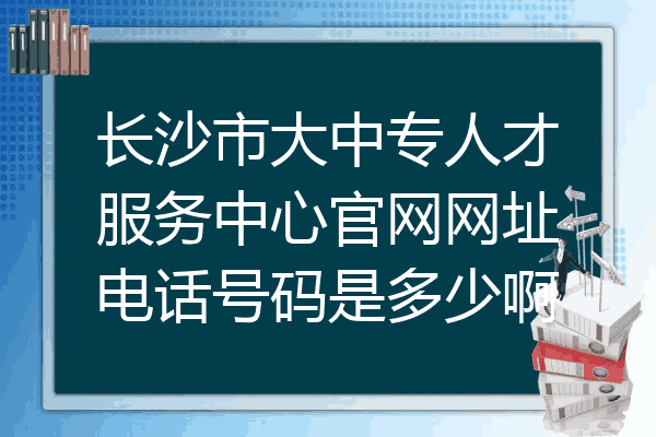 长沙市大中专人才服务中心官网网址电话号码是多少啊